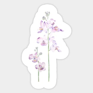 purple orchid watercolor Sticker